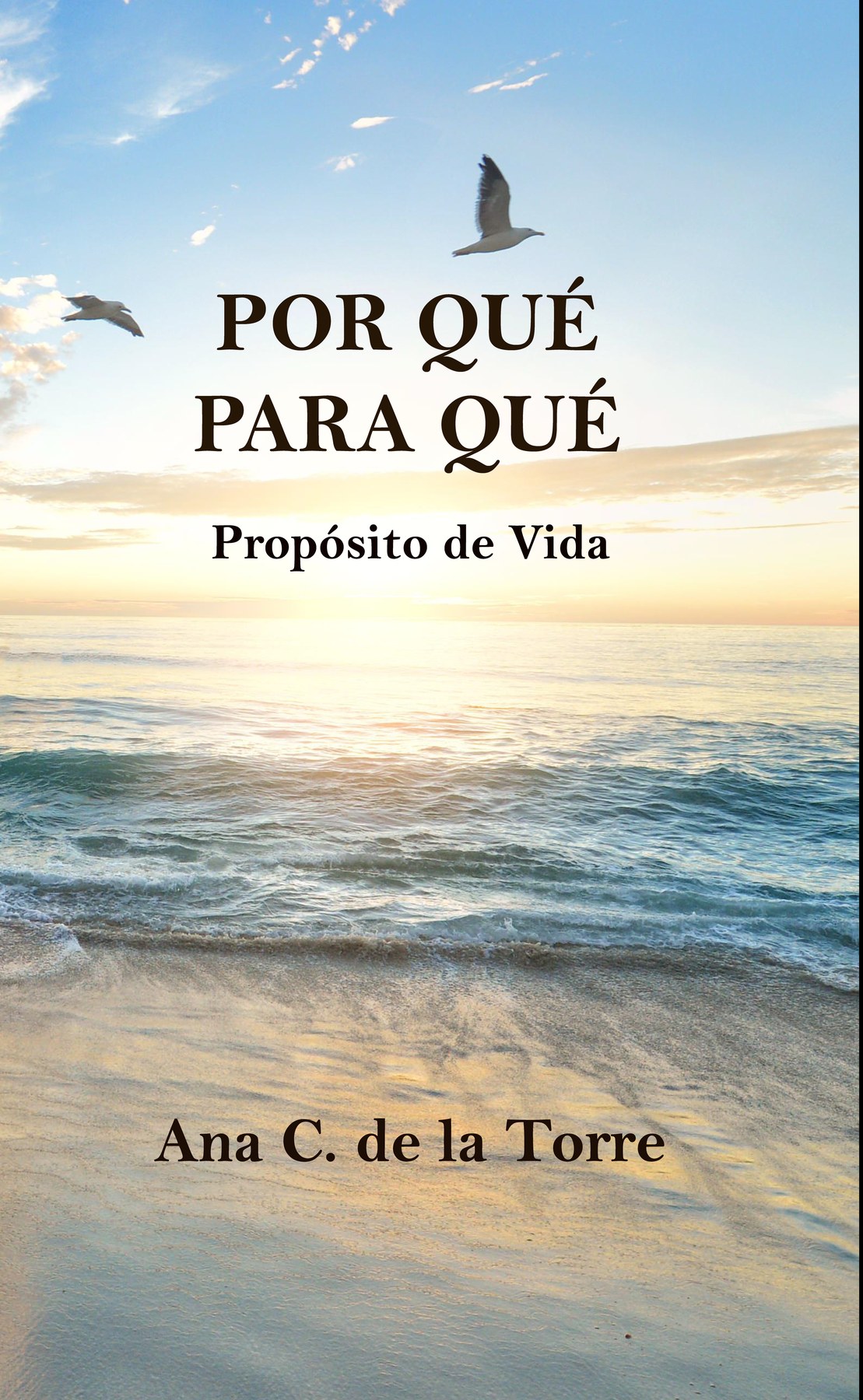 Portada de Por qué para qué